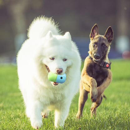 Moistless Stuff New 2 In 1 Pet Toys Products Dog Leakage Toy Ball Silicone Pet Supplies